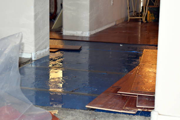 Professional Water Damage technician working in Hortonville, WI